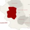 29 marzo 1976: nasceva la DOC Cacc’e Mmitte, un brindisi alla tradizione